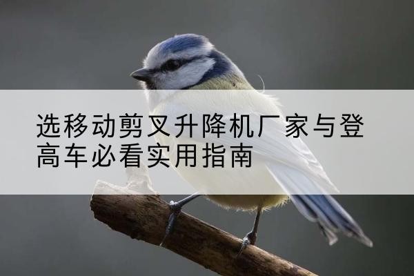 黄骅电动升降机厂家-选移动剪叉升降机厂家与登高车必看实用指南