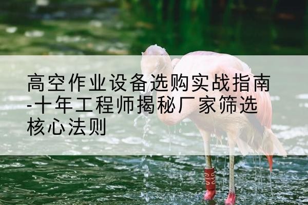 黄骅剪叉式升降机厂家-高空作业设备选购实战指南-十年工程师揭秘厂家筛选核心法则