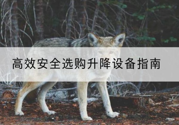 黄骅升降货梯厂家推荐-*安全选购升降设备指南