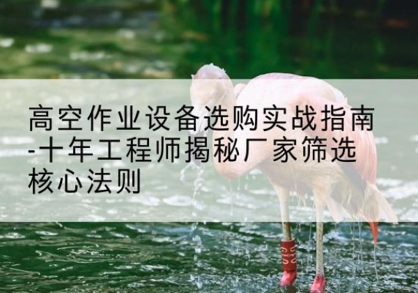 黄骅剪叉式升降机厂家-高空作业设备选购实战指南-十年工程师揭秘厂家筛选核心法则